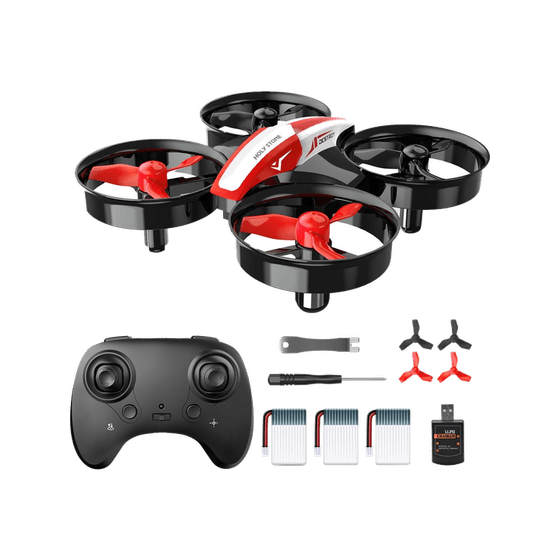 Holy Stone Mini Drone
