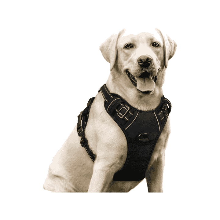 rabbitgoo Dog Harness