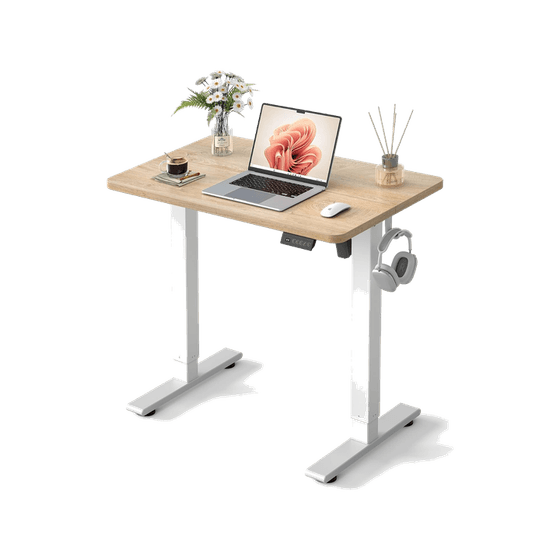 FLEXISPOT EN1 48"x24" One-Piece Standing Desk