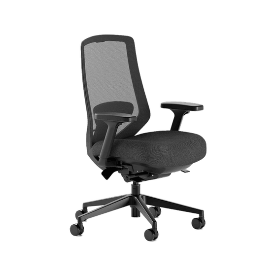 Branch Ergonomic Chair Pro