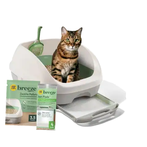The 5 Best Auto Cat Litter Boxes featured product
