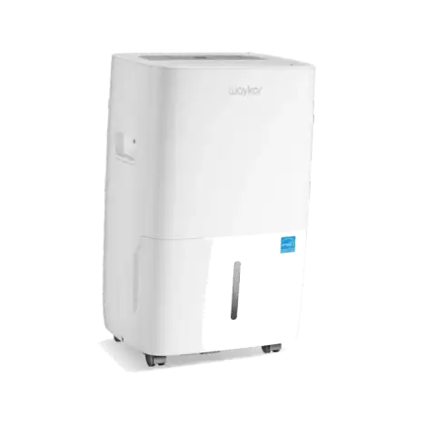 The 5 Best Dehumidifiers for Basements featured product