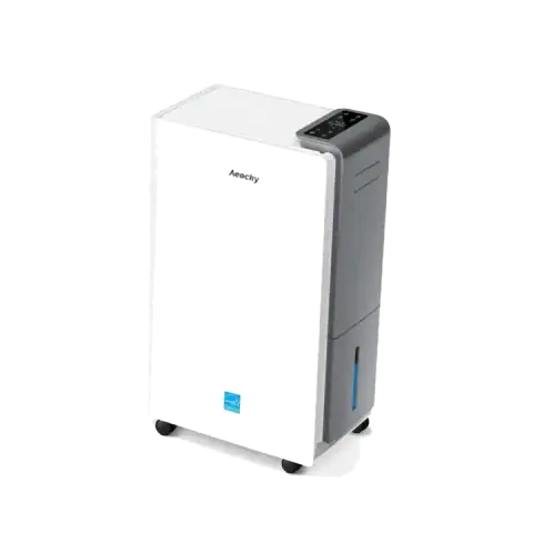 The 5 Best Dehumidifiers for Silverfish featured product