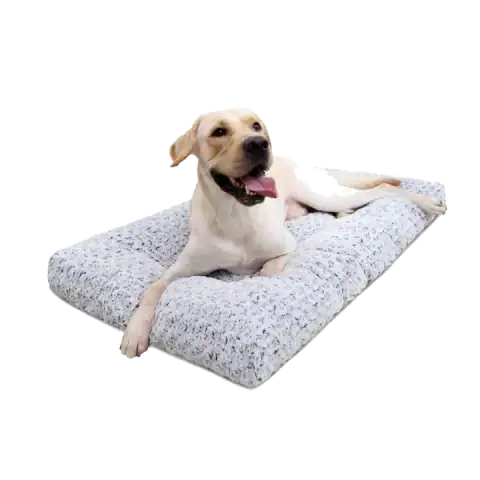 The 5 Best Dog Beds featured product