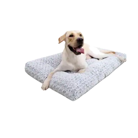 The 5 Best Dog Beds for French Bulldogs featured product