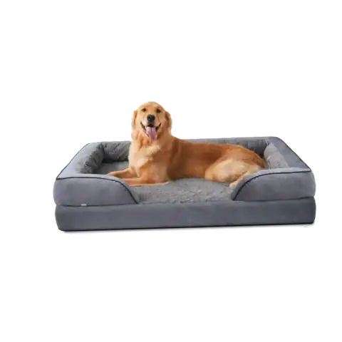 The 5 Best Large Dog Beds featured product