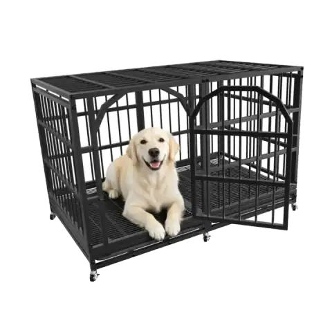 The 5 Best Dog Crates Travel featured product