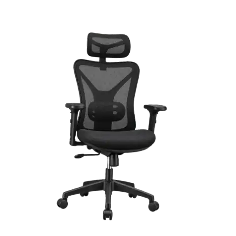 The 5 Best Ergonomic Office Chairs on Amazon featured product