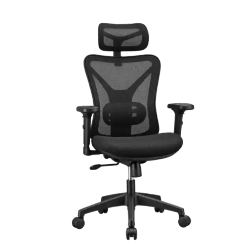 The 5 Best Office Chairs for Back Problems featured product