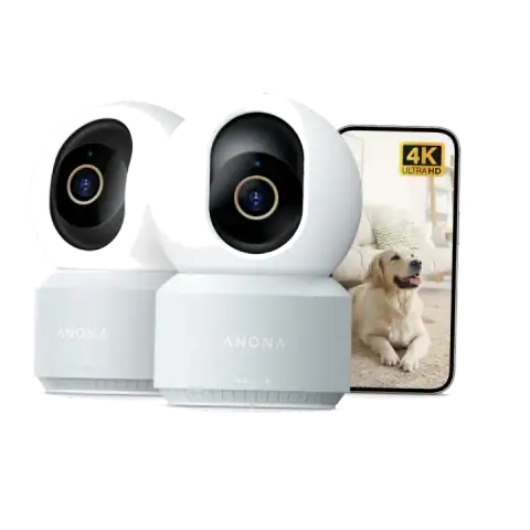 The 5 Best Pet Cameras for Dogs featured product